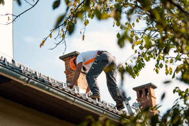 Best Roof Leak Repair  in Gman, IL