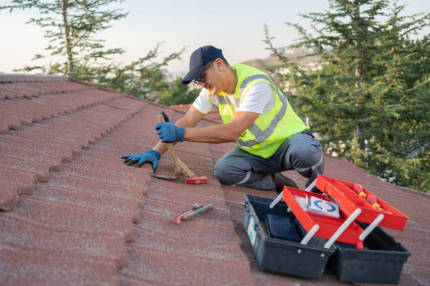 Best Roof Restoration Services  in Gman, IL