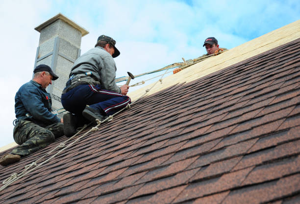 Professional Roofing Contractor in Gilman, IL